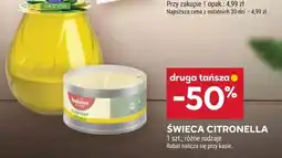 Stokrotka ŚWIECA CITRONELLA oferta