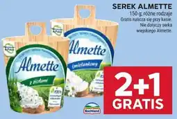 Stokrotka SEREK ALMETTE Hochland oferta