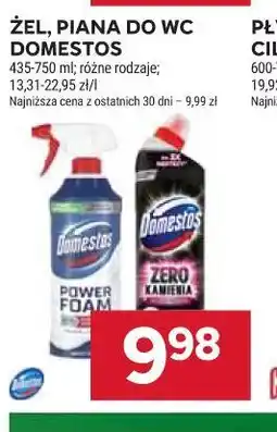 Stokrotka ŻEL, PIANA DO WC DOMESTOS oferta