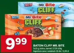 Stokrotka Baton Cliff Mr. Bite oferta