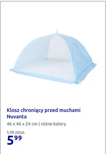 Action Klosz chroniący przed muchami Nuvanta oferta