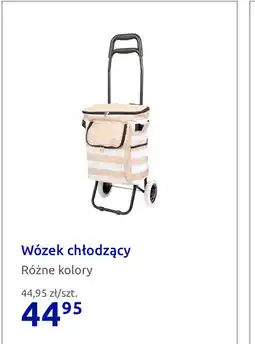 Action Wózek chłodzący oferta