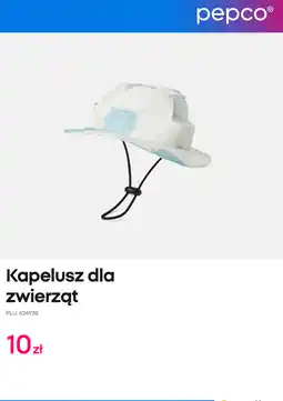 Pepco Kapelusz dla zwierząt oferta