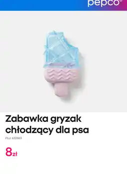 Pepco Zabawka gryzak chłodzący dla psa oferta