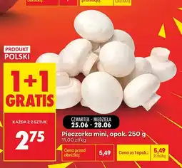 Biedronka Pieczarka mini oferta