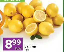 Stokrotka Cytryny oferta
