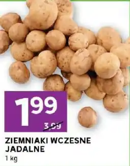 Stokrotka Ziemniaki wczesne jadalne oferta