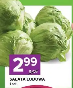 Stokrotka Sałata lodowa oferta