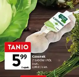 Intermarche Czosnek Z Sadów i Pól oferta