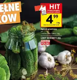 Intermarche Ogórek gruntowy luz oferta