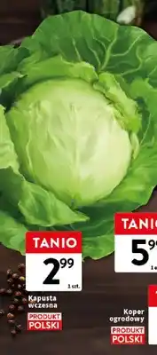 Intermarche Kapusta wczesna oferta