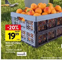 Intermarche Kosz składany KEEPER oferta
