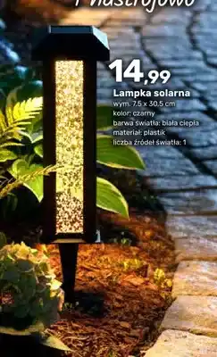 Bricomarche Lampka solarna oferta