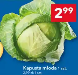 Lewiatan Kapusta młoda oferta