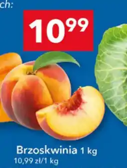 Lewiatan Brzoskwinia oferta