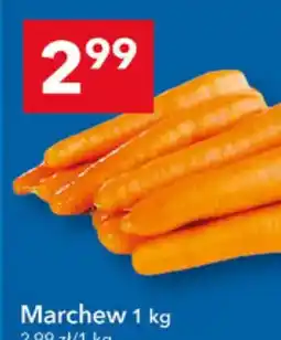 Lewiatan Marchew oferta