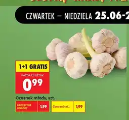 Biedronka Czosnek młody oferta