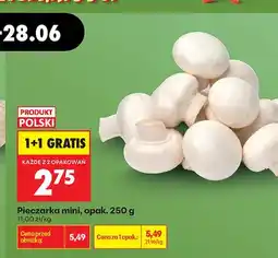 Biedronka Pieczarka mini oferta