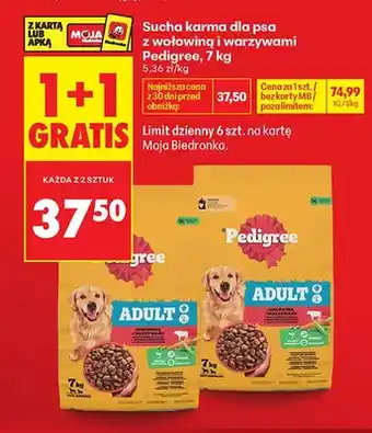 Biedronka Sucha karma dla psa Pedigree z wołowiną i warzywami oferta