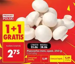 Biedronka Pieczarka mini opak . 250 g oferta