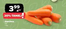 Netto Marchew luz oferta