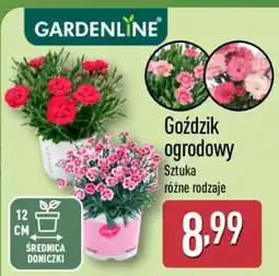 ALDI GARDENLINE oferta