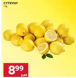 Stokrotka Market Cytryny oferta