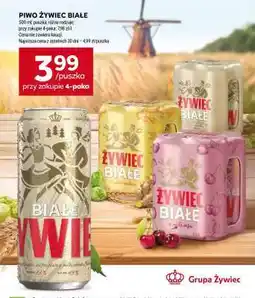 Stokrotka Market PIWO ŻYWIEC BIAŁE oferta