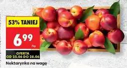 Biedronka Nektarynka na wage oferta