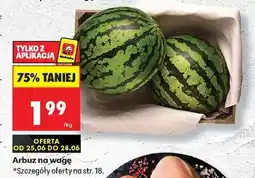 Biedronka Arbuz na wagę oferta