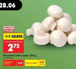 Biedronka Pieczarka mini opak . 250 g oferta