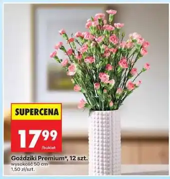 Biedronka Goździki Premium, 12 szt oferta
