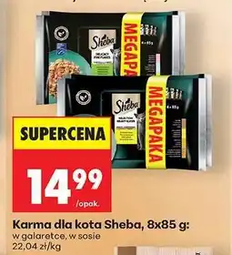 Biedronka Karma dla kota Sheba, 8x85 g oferta