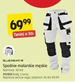 Jula BLUEWEAR Spodnie malarskie męskie oferta