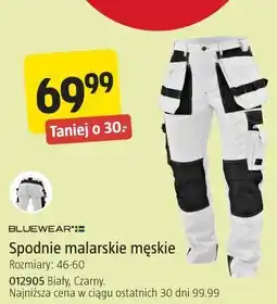 Jula Bluewear Spodnie malarskie męskie oferta