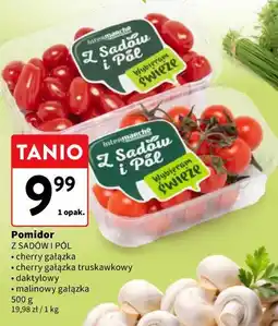 Intermarche Pomidor Z Sadów i Pól oferta