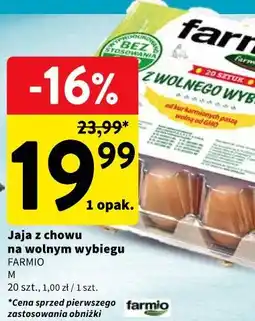 Intermarche Jaja z chowu na wolnym wybiegu oferta