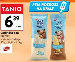 Intermarche Lody dla psa DR ZOO oferta