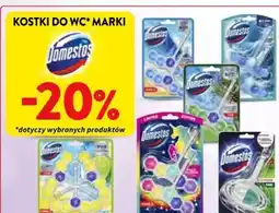 Intermarche Kostki do WC Domestos oferta