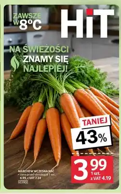 Selgros Marchew wczesna z nacią oferta