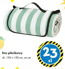 Tedi Koc piknikowy ok. 150x150 cm oferta