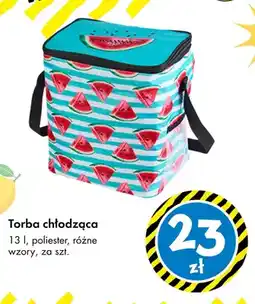 Tedi Torba chłodząca 13 l TEDi oferta