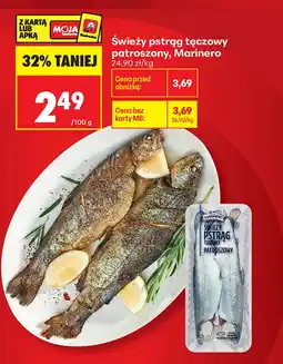 Biedronka Pstrąg tęczowy Marinero oferta