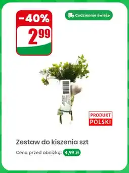 Dino Zestaw do kiszenia oferta