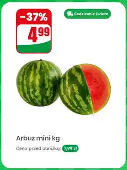 Dino Arbuz mini oferta