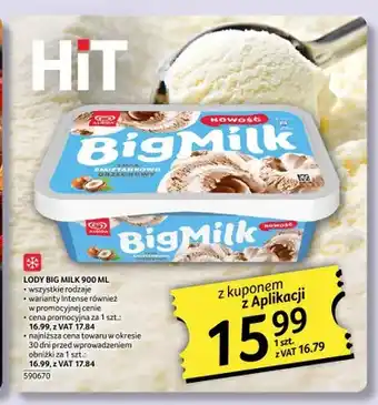 Selgros Lody Big Milk oferta
