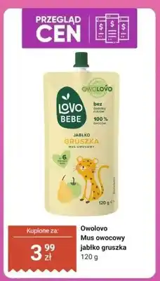Dino Mus owocowy jabłko gruszka Owolovo Bebe oferta