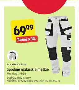 Jula Spodnie malarskie męskie Bluewear oferta