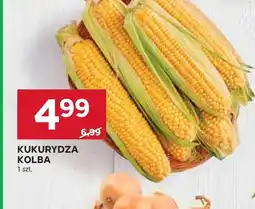 Stokrotka Kukurydza oferta