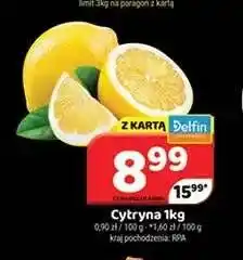 Delfin Cytryna oferta